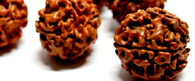 Rudraksha Vertus | Utilisation et Propriétés