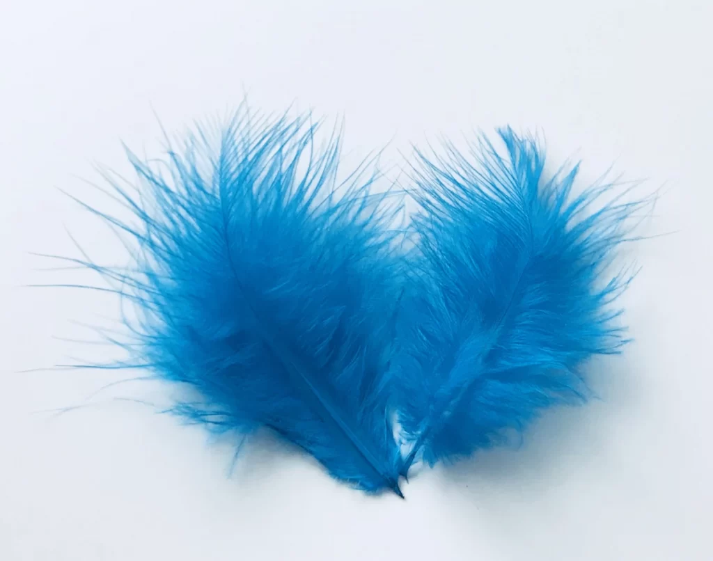 Significations et messages des différentes couleurs de plumes