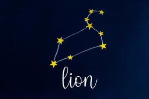 constellation lion