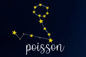 constellation poisson