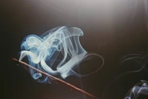 nettoyage-maison-mauvais-esprit-sauge