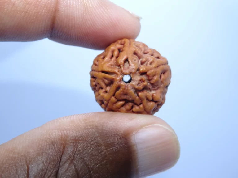 Peut-on porter un rudraksha quand on n&rsquo;est pas végétarien ?