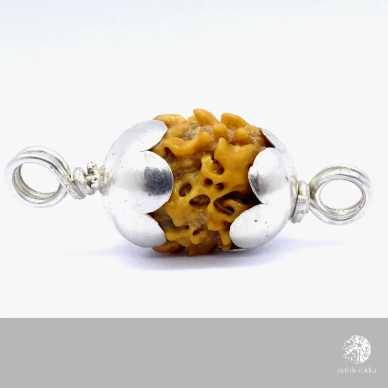 Perle de Rudraksha 2 faces avec capuchon en argent