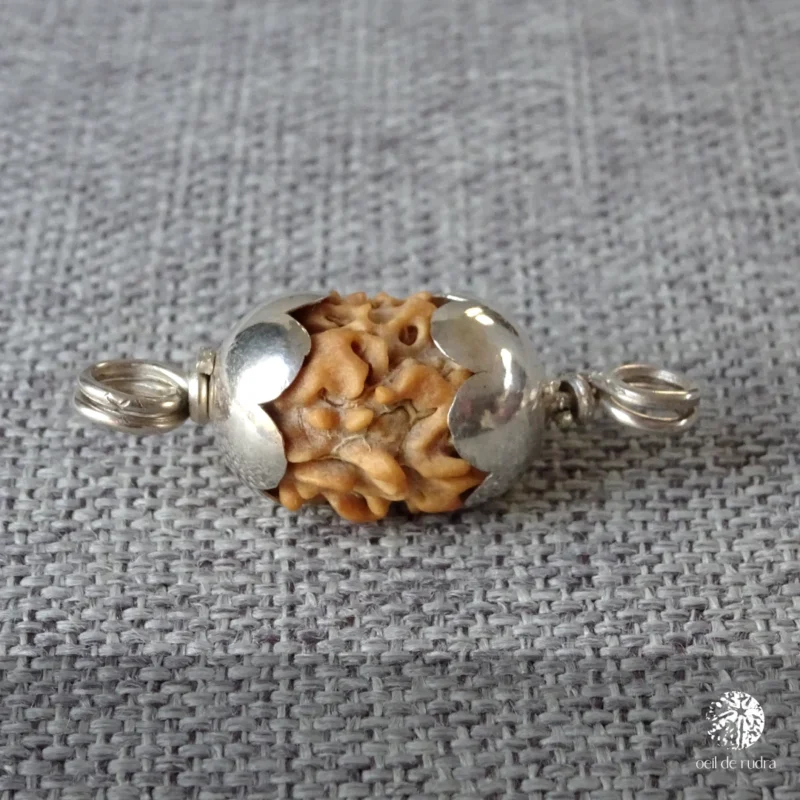 Rudraksha à deux faces bijou