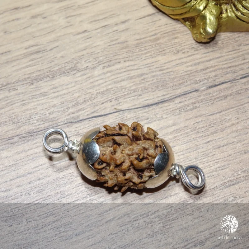 Perle de Rudraksha 3 faces avec capuchon en argent – Image 3