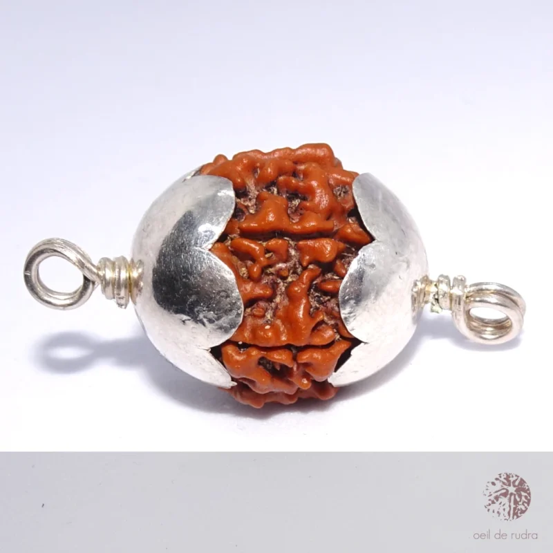 rudraksha à 7 faces symbole de lakshmi