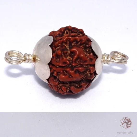 rudraksha à 8 faces sur bijou en argent