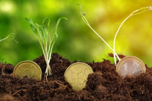 Pièces en euros et pousses végétales représentant la croissance financière