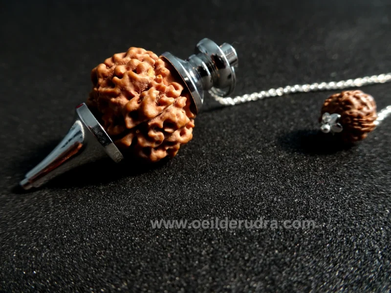 Gros plan Pendule Divinatoire en Rudraksha à 5 Faces