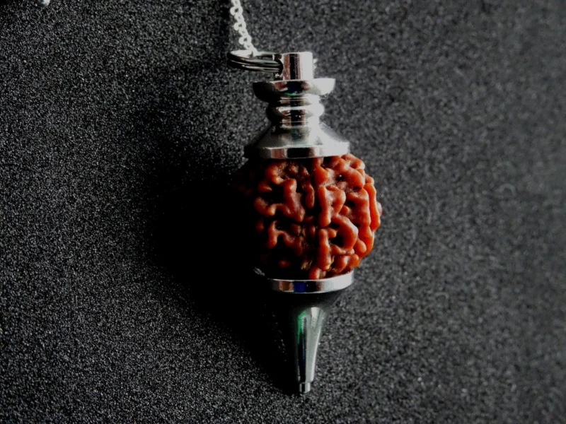 Pendule en graine de rudraksha 6 faces – Image 2