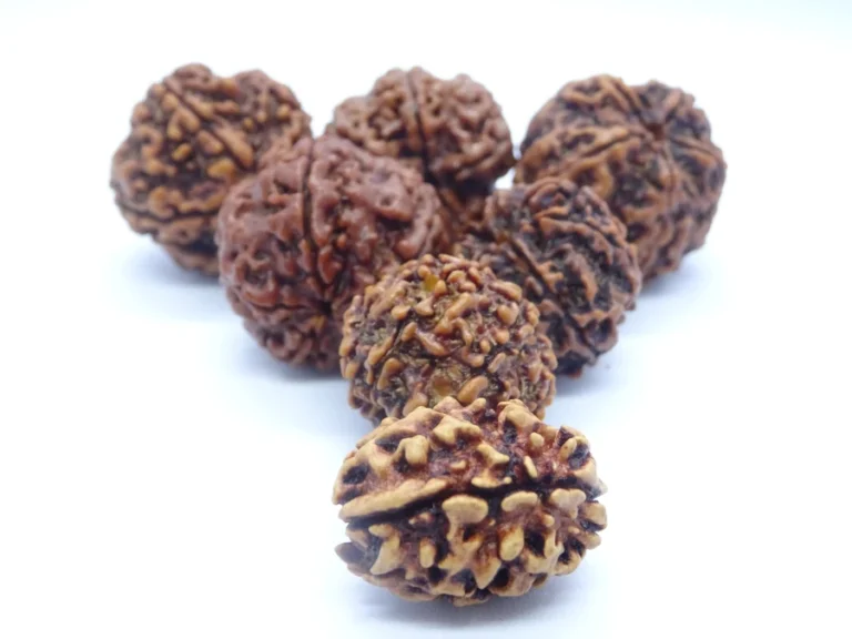 Rudraksha énergisé : ce que veut vraiment dire « consacré »